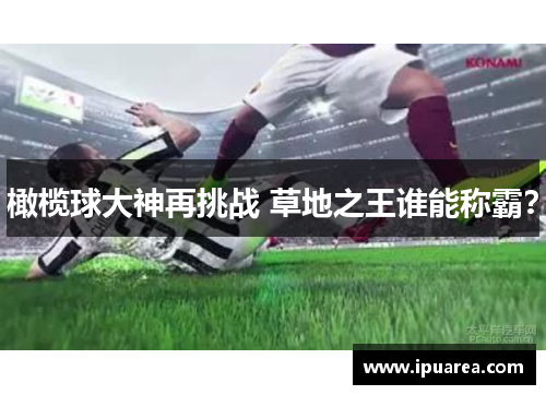 橄榄球大神再挑战 草地之王谁能称霸？