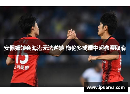 安佩姆转会海港无法逆转 梅伦多或遭中超参赛取消